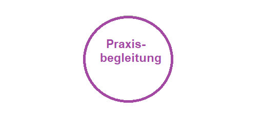 Praxisbegleitung