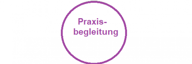 Praxisbegleitung